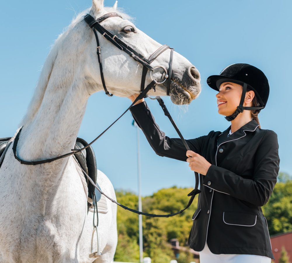 attractive-female-equestrian-palming-horse-at-horse-club.jpg